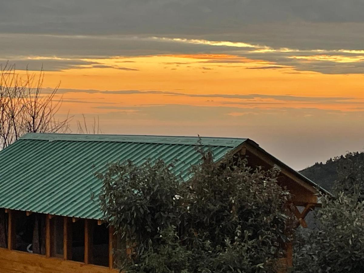Hotel Bagar Trails Nainital Exteriér fotografie